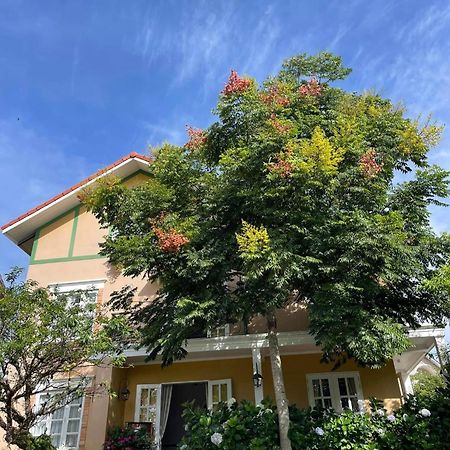 Отель Bich Dao Boutique - Dalat Экстерьер фото