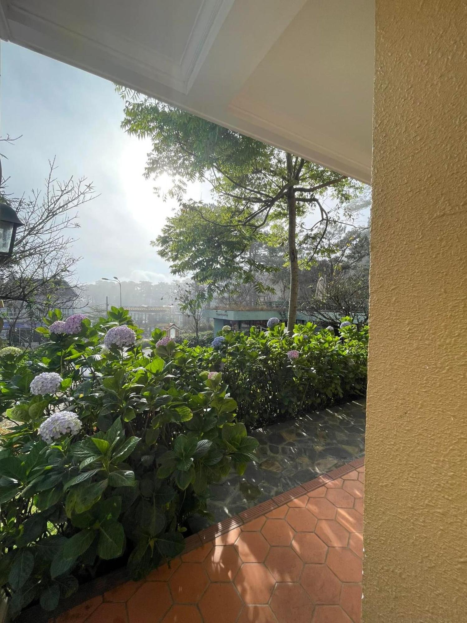 Отель Bich Dao Boutique - Dalat Экстерьер фото