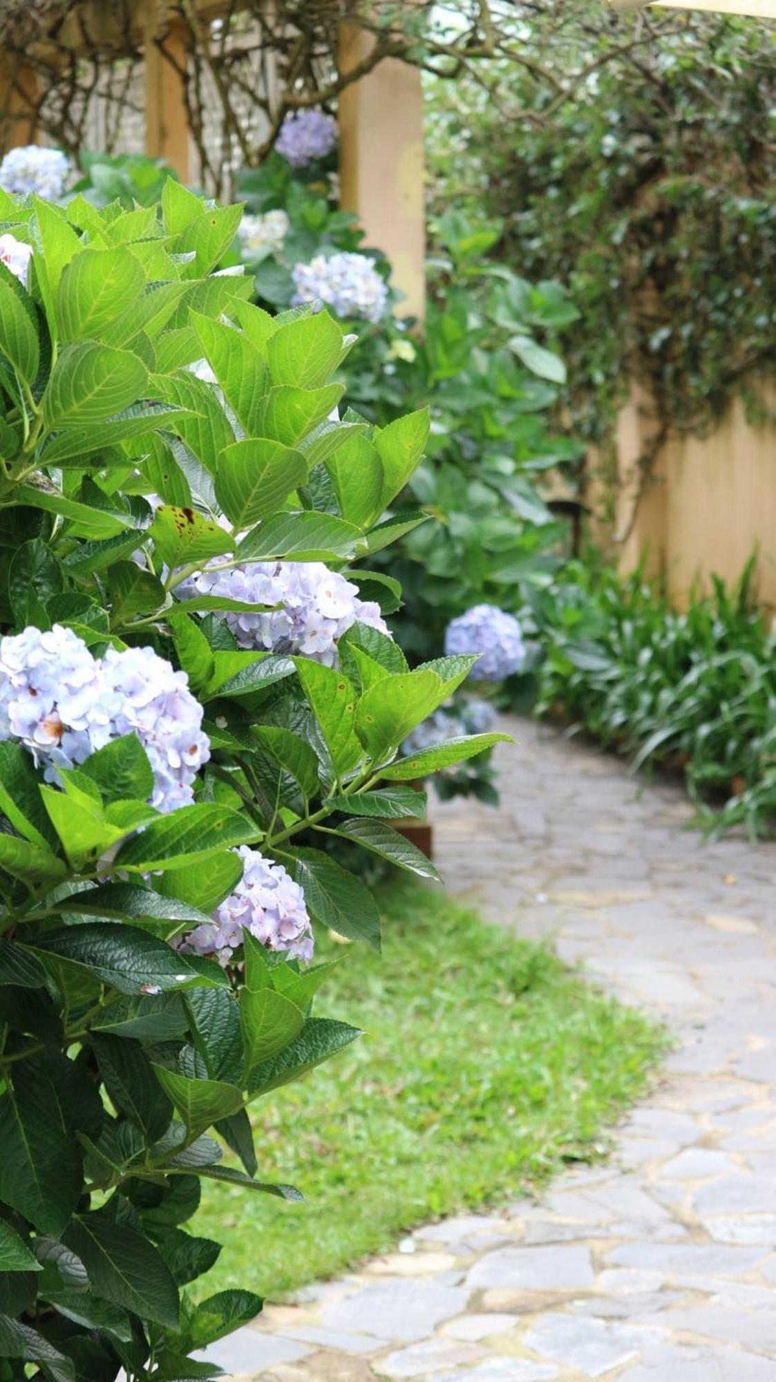 Отель Bich Dao Boutique - Dalat Экстерьер фото