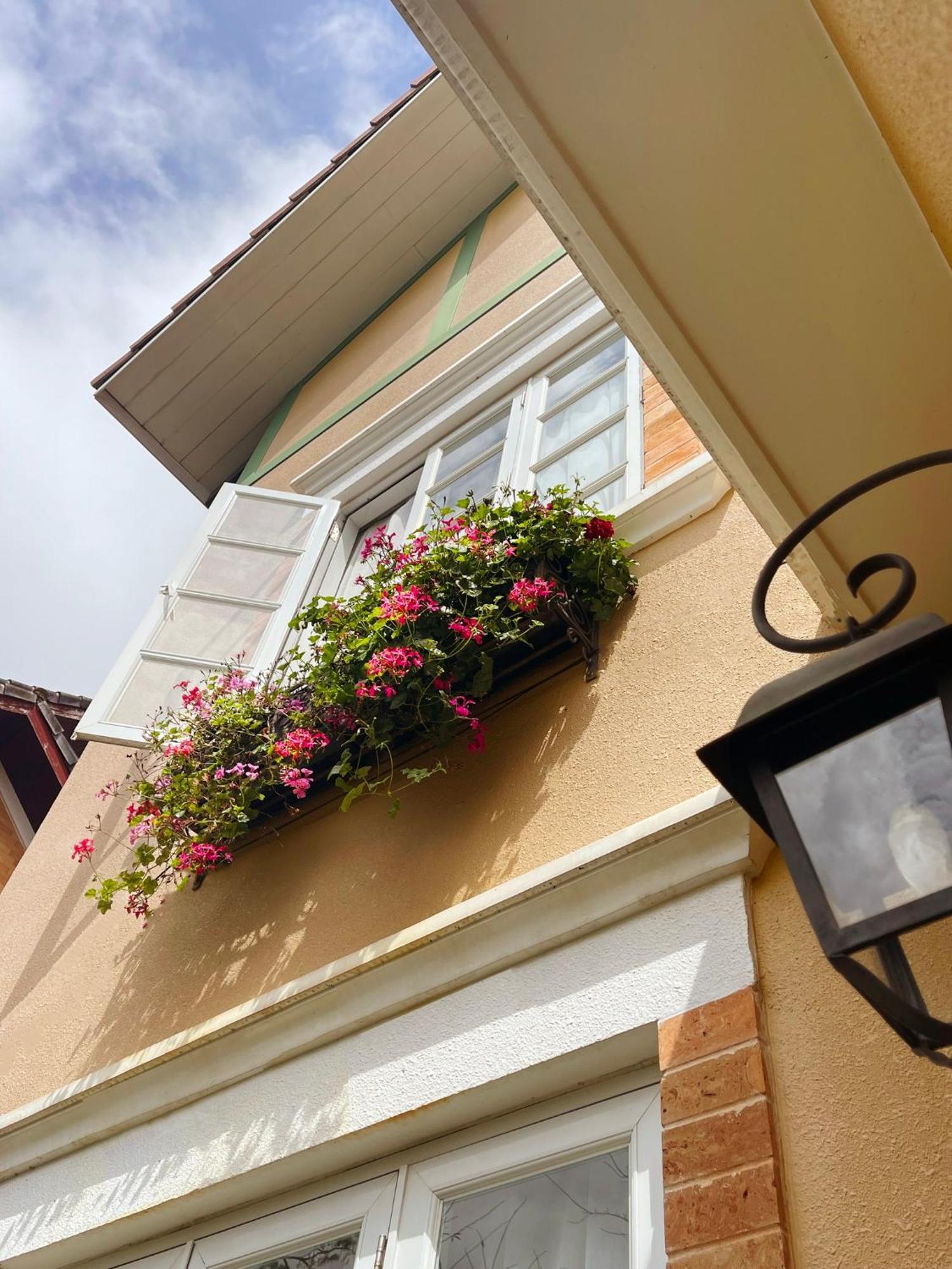Отель Bich Dao Boutique - Dalat Экстерьер фото