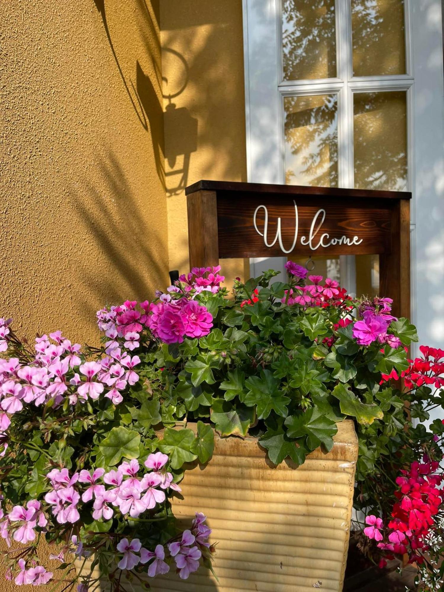 Отель Bich Dao Boutique - Dalat Экстерьер фото