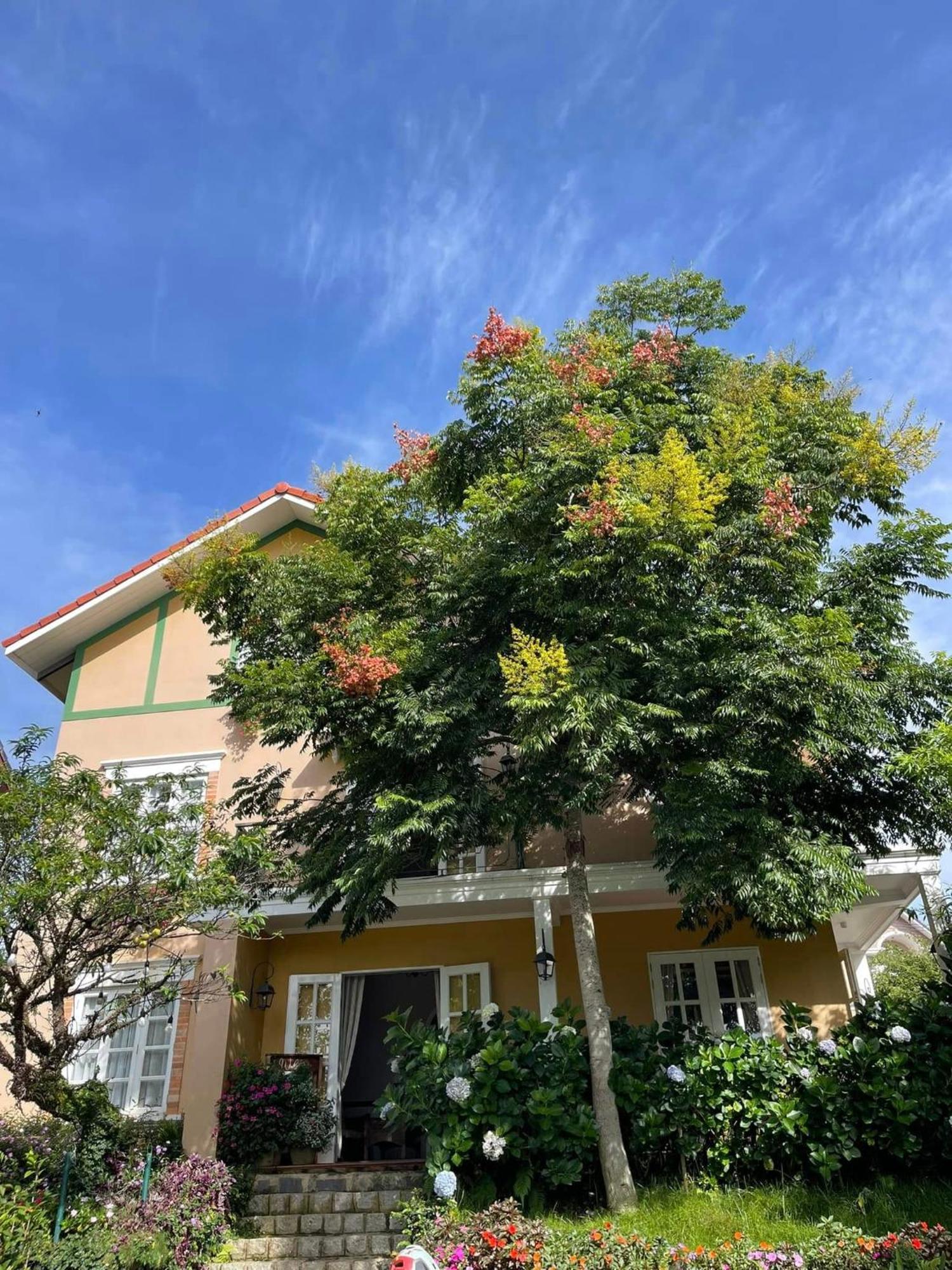 Отель Bich Dao Boutique - Dalat Экстерьер фото