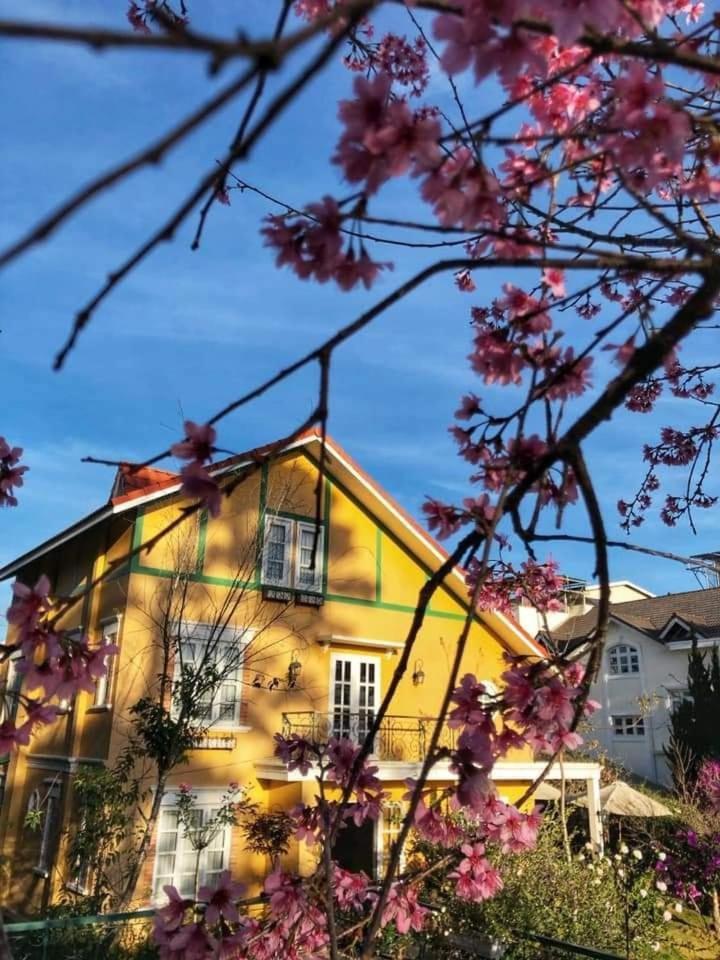 Отель Bich Dao Boutique - Dalat Экстерьер фото