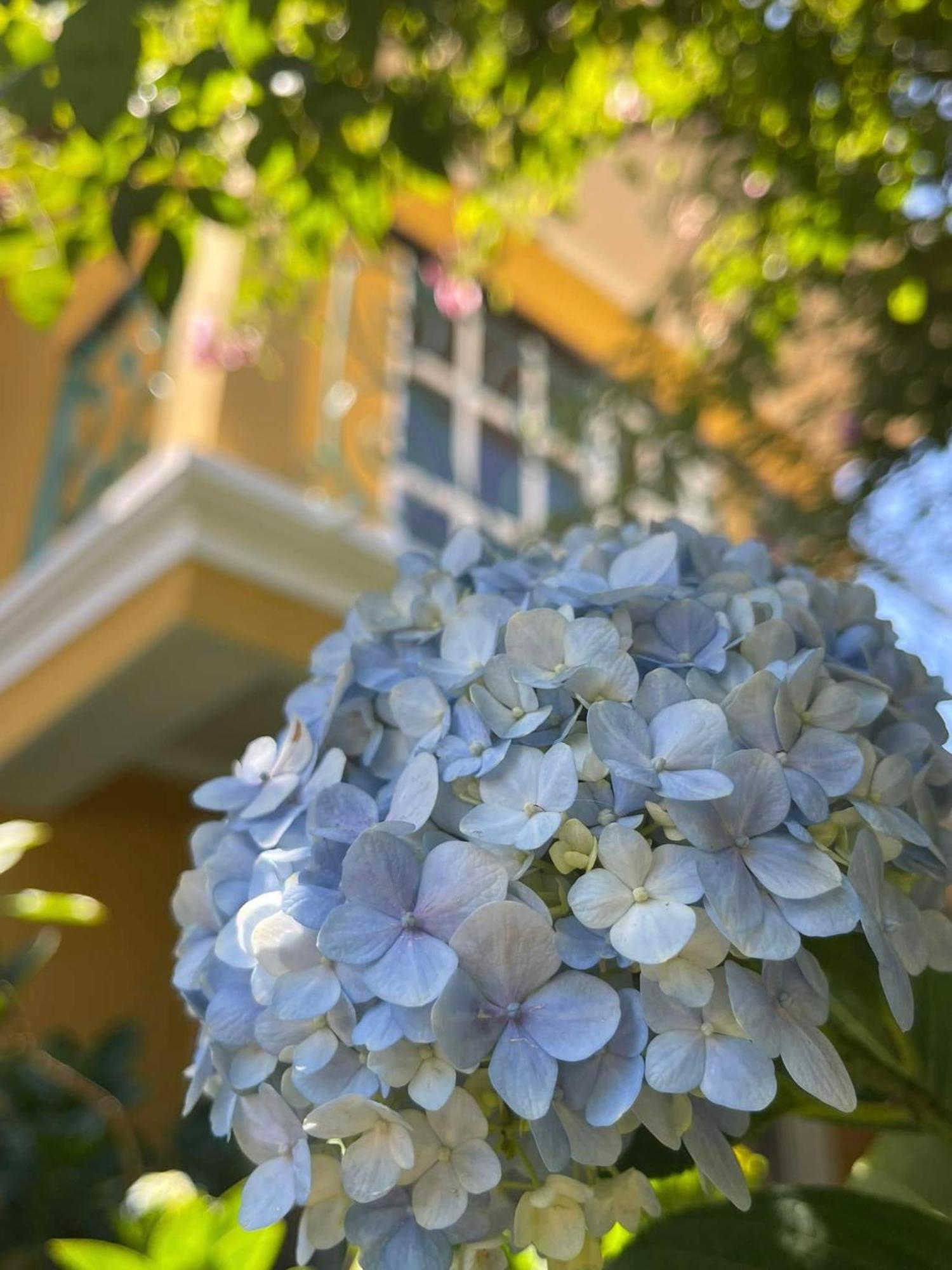 Отель Bich Dao Boutique - Dalat Экстерьер фото